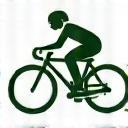 Icon Bike-Fitting